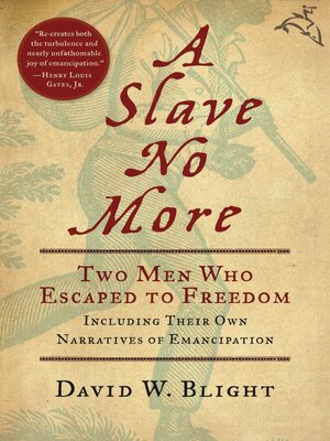 cover image of A Slave No More